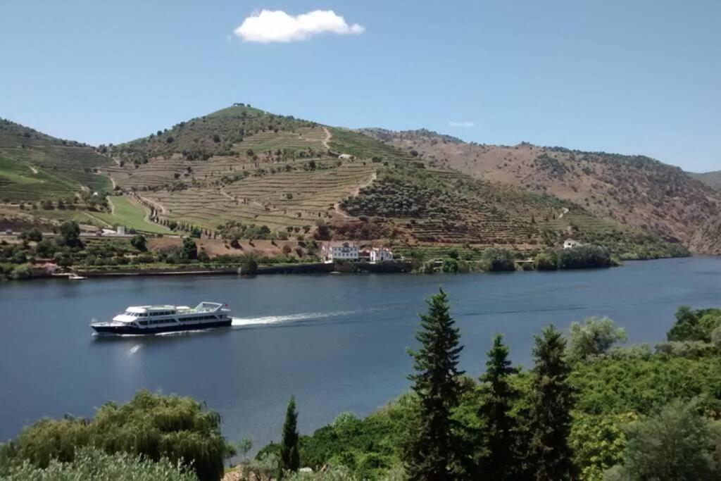 Casa Dos Vinhais - Douro Valley Coleja Exterior photo